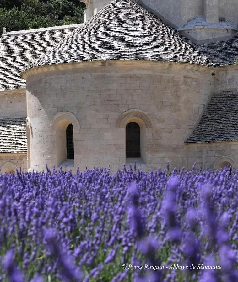 Entre Ventoux Et Luberon Chambre D'Hote Sault-de-Vaucluse